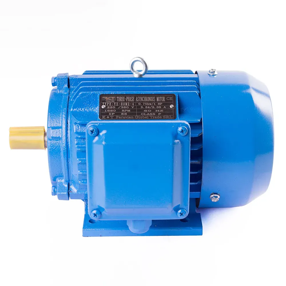 Motor Trifásico 1 HP en 1680 RPM