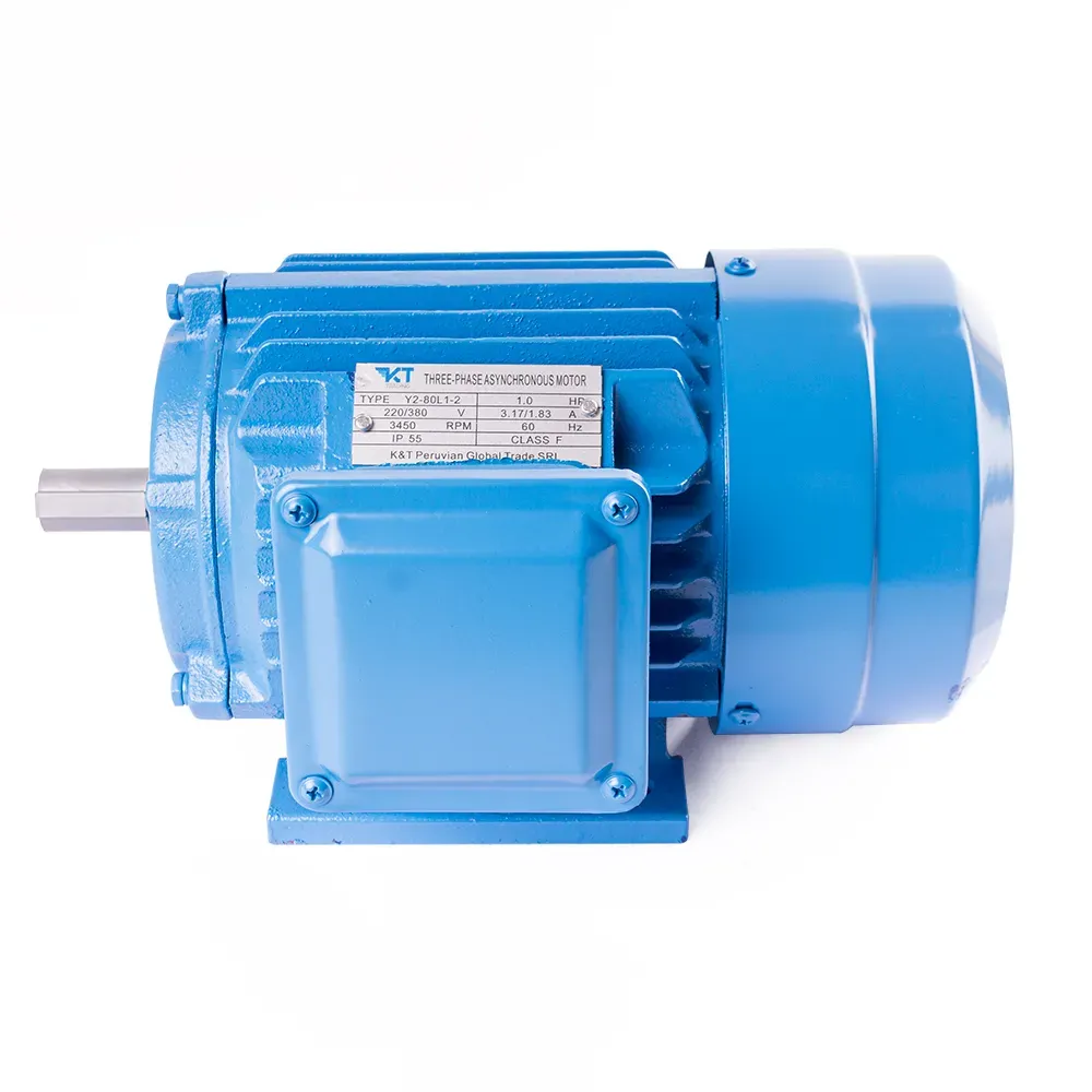 Motor Trifásico 1 HP en 3450 RPM